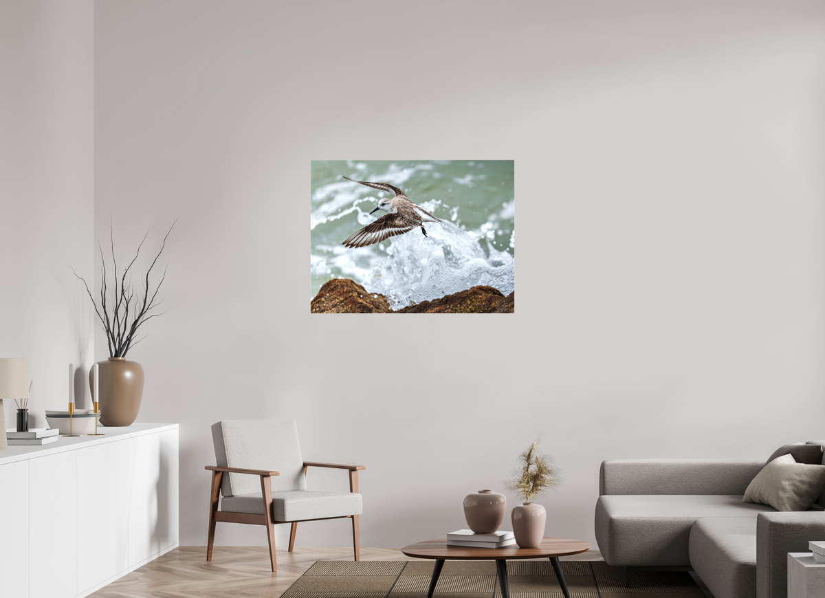 40 x 30″, Canvas Print A Sanderling and the Ocean
