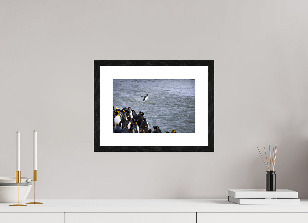 12 x 8″, Glossy Print (Framed) A15