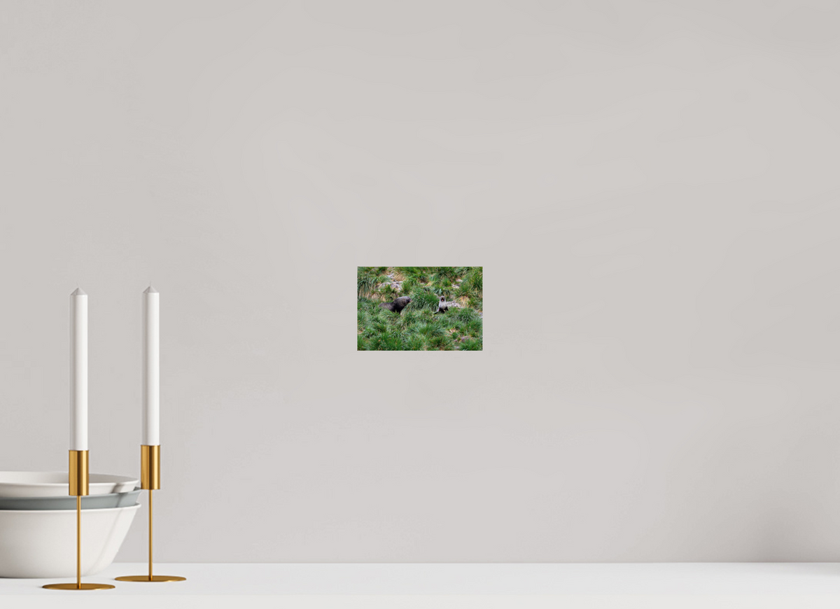 6 x 4″, Glossy Print (Unframed) A23