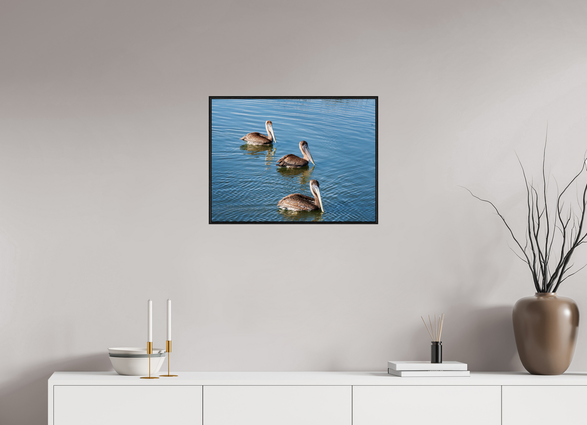 24 x 18″, Acrylic under Glass (Framed) Triple Brown Pelican