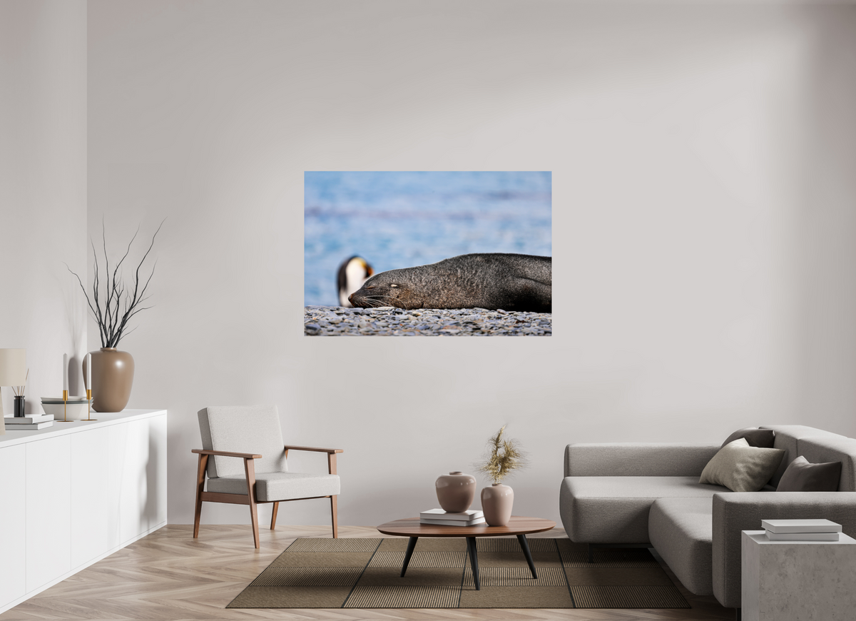 60 x 40″, Glossy Print (Unframed) A17