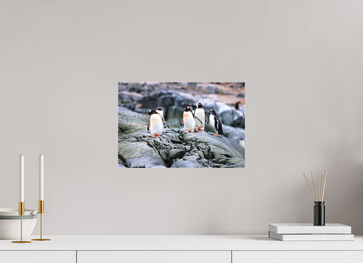 15 x 10″, Canvas Print A1