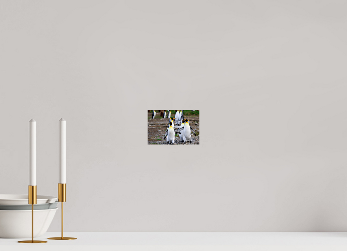 6 x 4″, Glossy Print (Unframed) A20