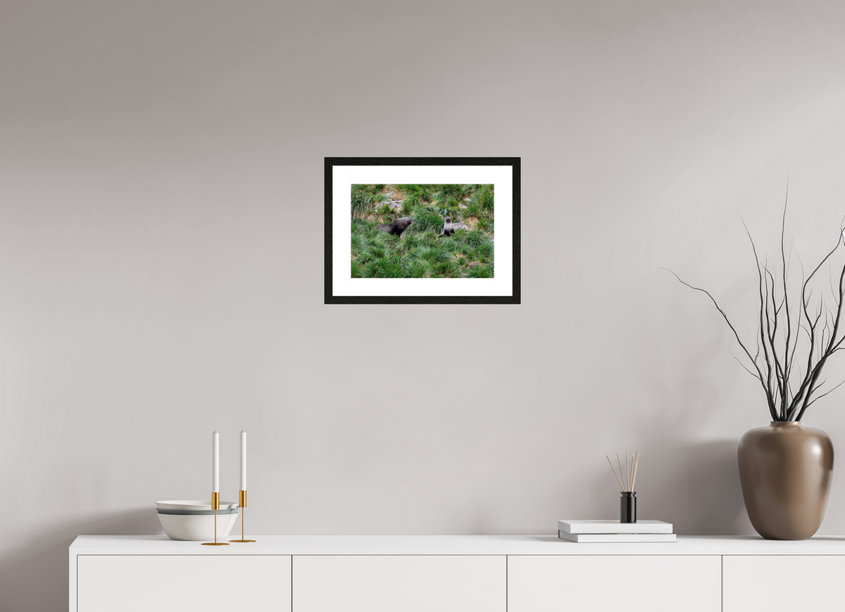 15 x 10″, Glossy Print (Framed) A23