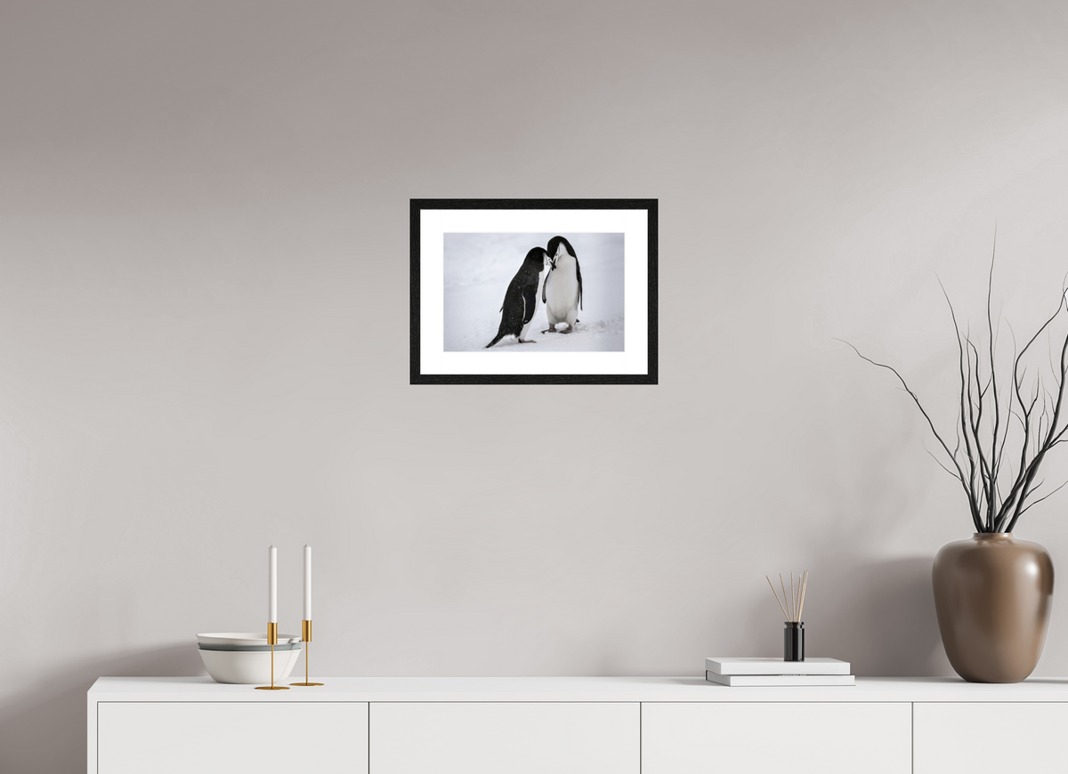 15 x 10″, Glossy Print (Framed) A5