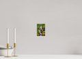4 x 6″, Glossy Print (Unframed) Norway10
