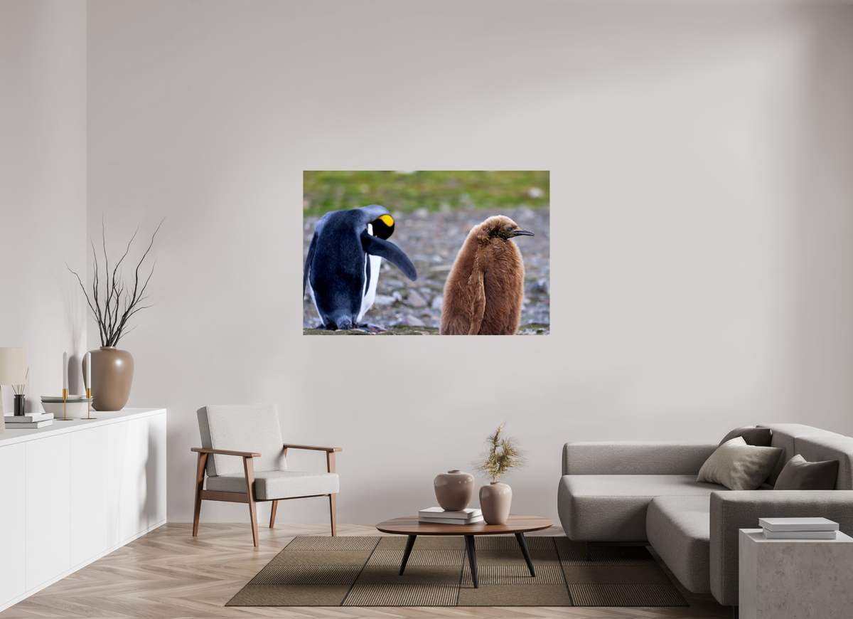 60 x 40″, Glossy Print (Unframed) A19