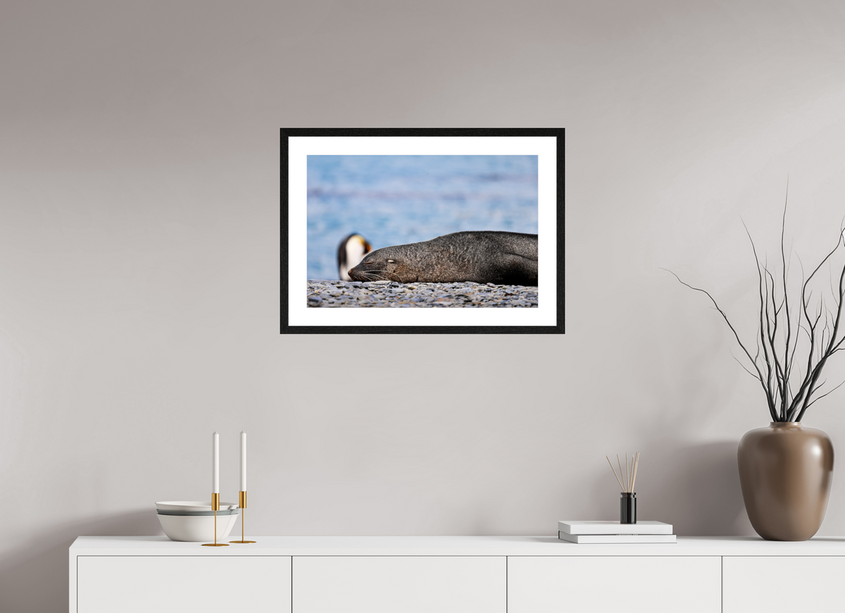 24 x 16″, Glossy Print (Framed) A17