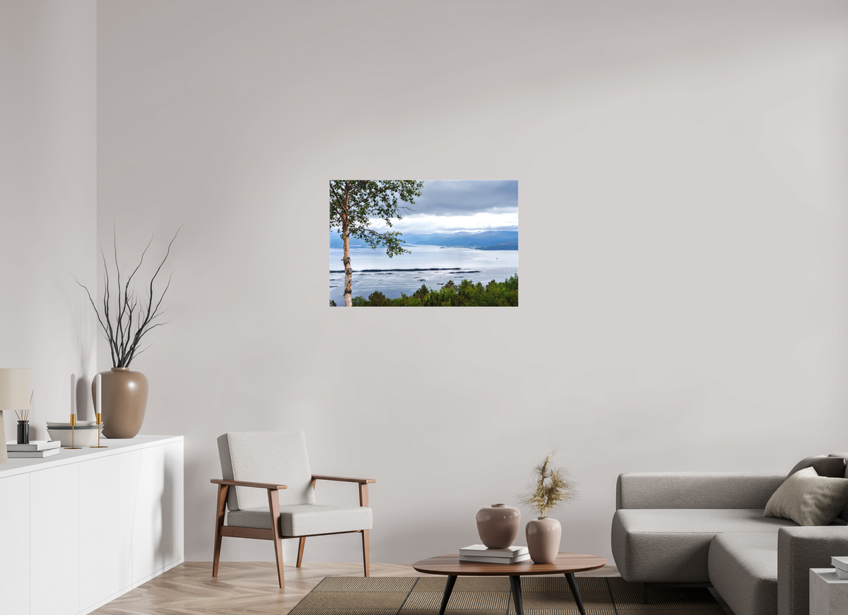 36 x 24″, Canvas Print Norway6