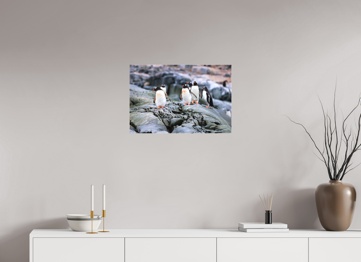 24 x 16″, Canvas Print A1