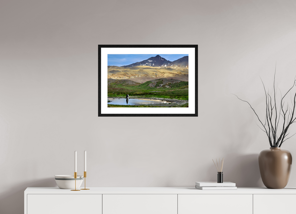 24 x 16″, Glossy Print (Framed) A21