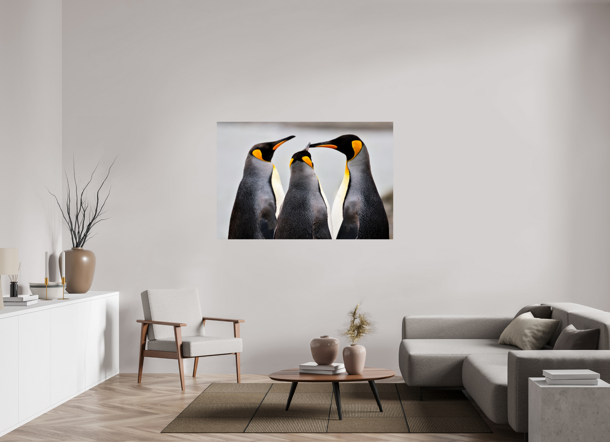 60 x 40″, Glossy Print (Unframed) A12