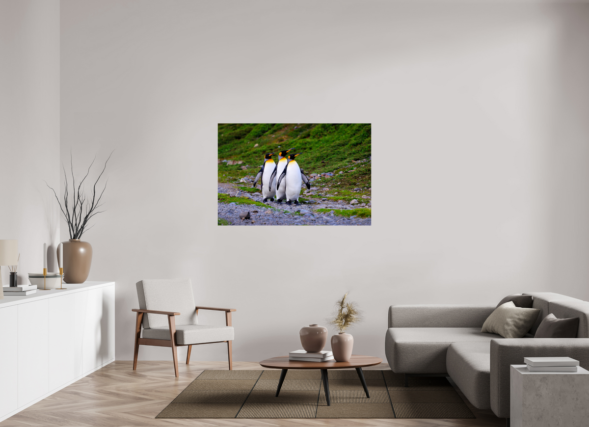 54 x 36″, Glossy Print (Unframed) A18