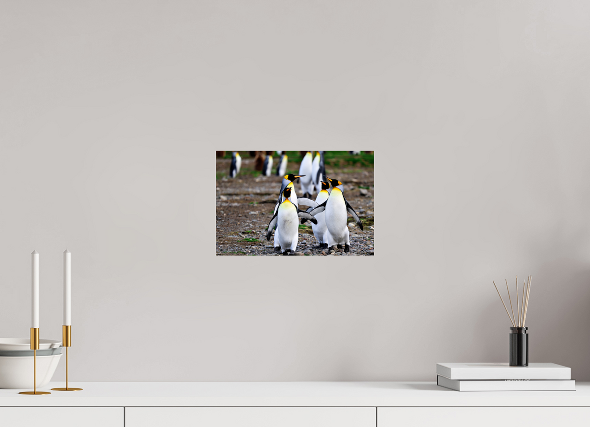 12 x 8″, Glossy Print (Unframed) A20