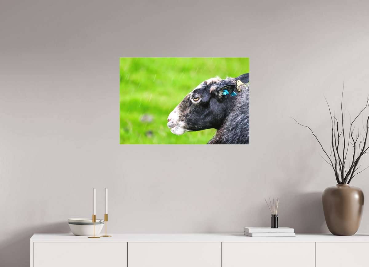 30 x 20″, Canvas Print Norway14