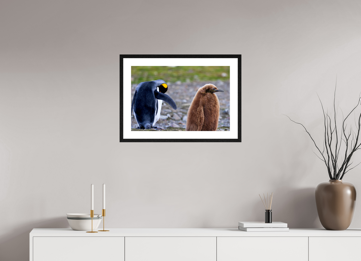 24 x 16″, Glossy Print (Framed) A19