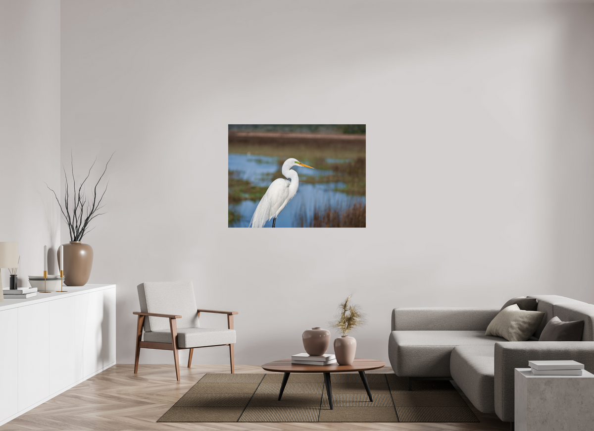 48 x 36″, Acrylic under Glass (Unframed) A Great Egret