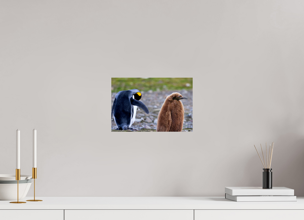 12 x 8″, Glossy Print (Unframed) A19