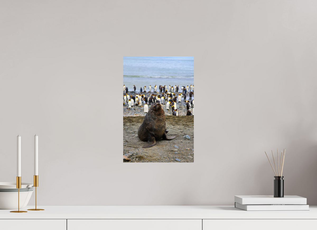 10 x 15″, Glossy Print (Unframed) A11