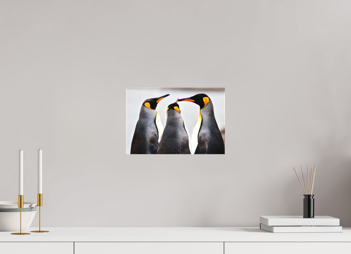 12 x 8″, Canvas Print A12