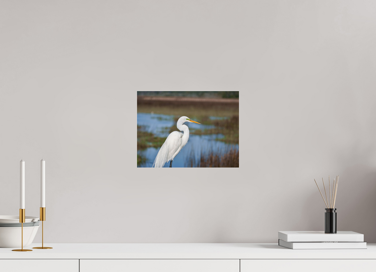 12 x 9″, Acrylic under Glass (Unframed) A Great Egret
