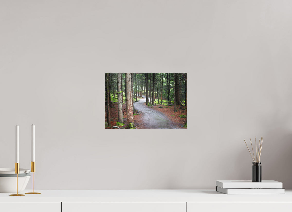 12 x 8″, Canvas Print Norway13