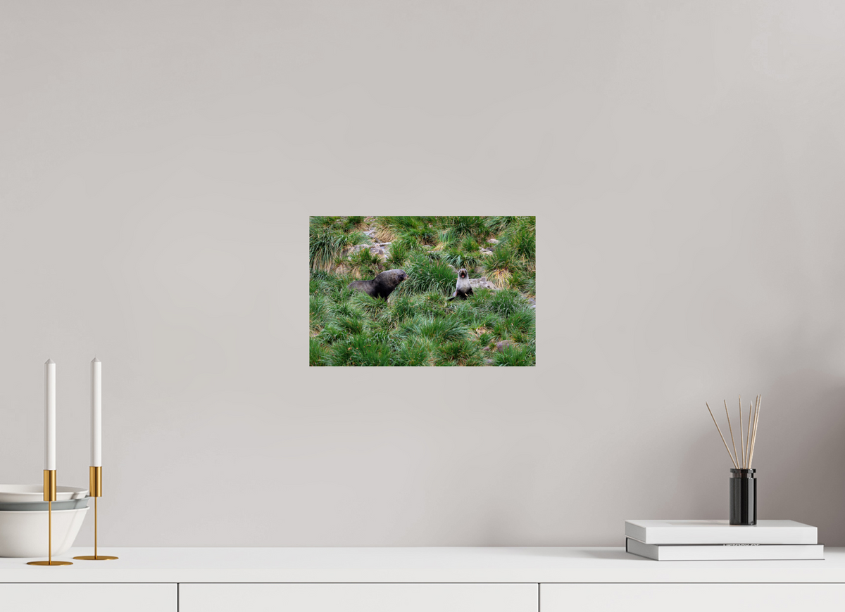 12 x 8″, Glossy Print (Unframed) A23