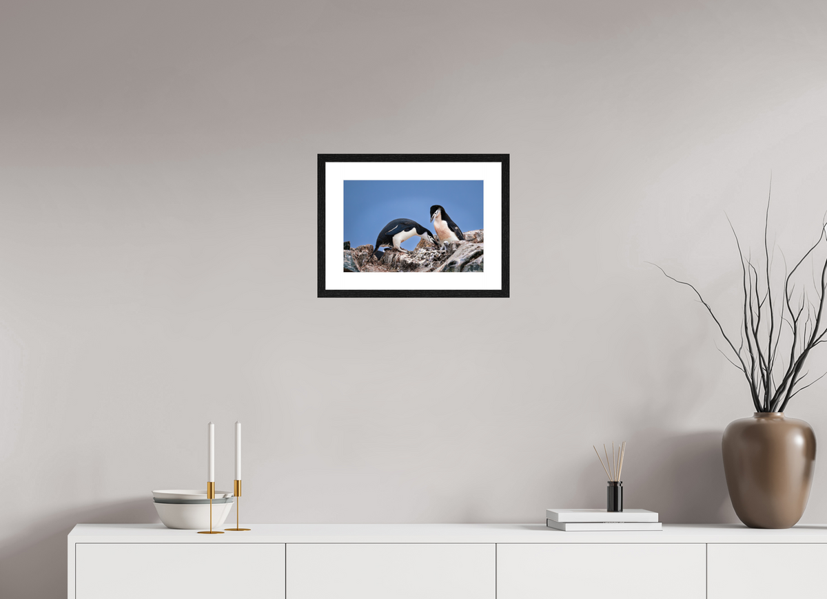 15 x 10″, Glossy Print (Framed) A6