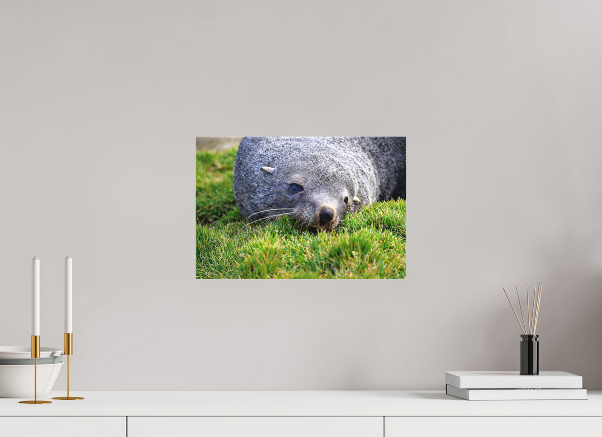15 x 10″, Canvas Print A22