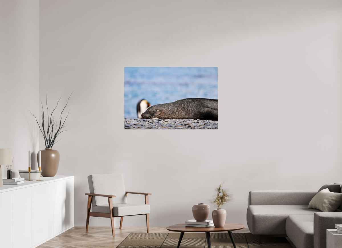 45 x 30″, Glossy Print (Unframed) A17