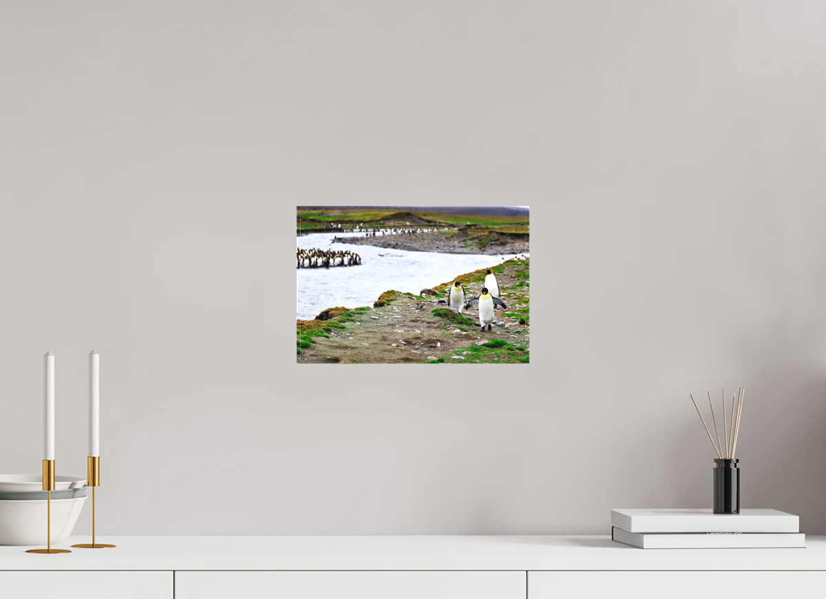 12 x 8″, Canvas Print A14