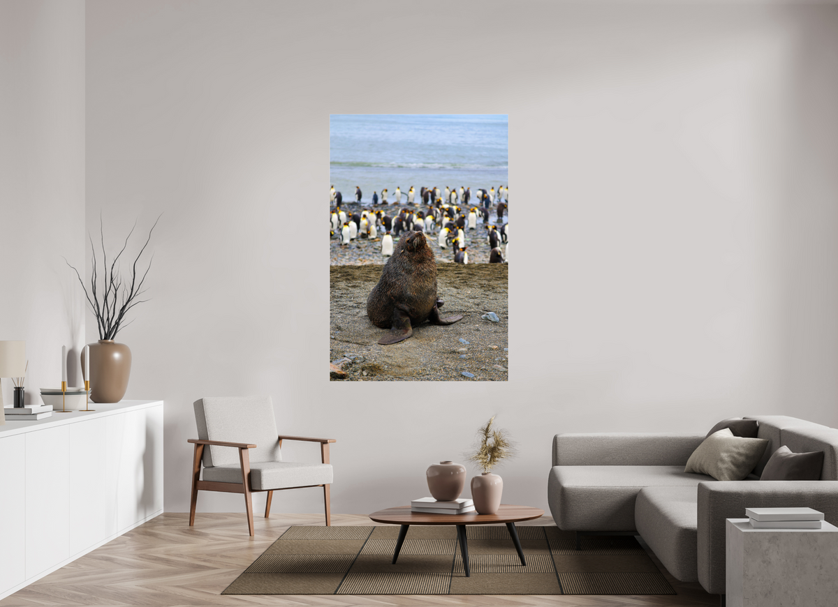 44 x 66″, Acrylic under Glass (Unframed) A11