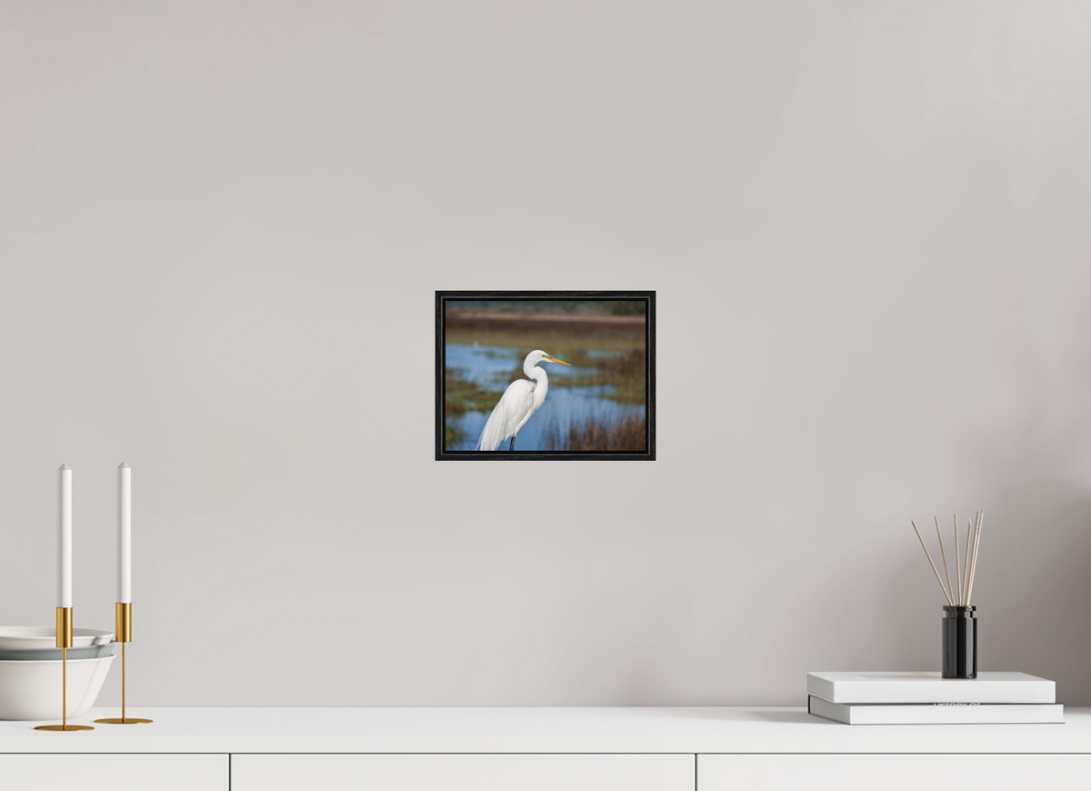 8 x 6″, Acrylic under Glass (Framed) A Great Egret