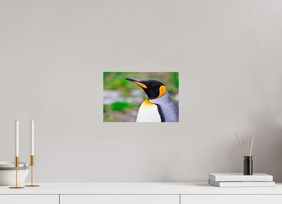 12 x 8″, Glossy Print (Unframed) A12