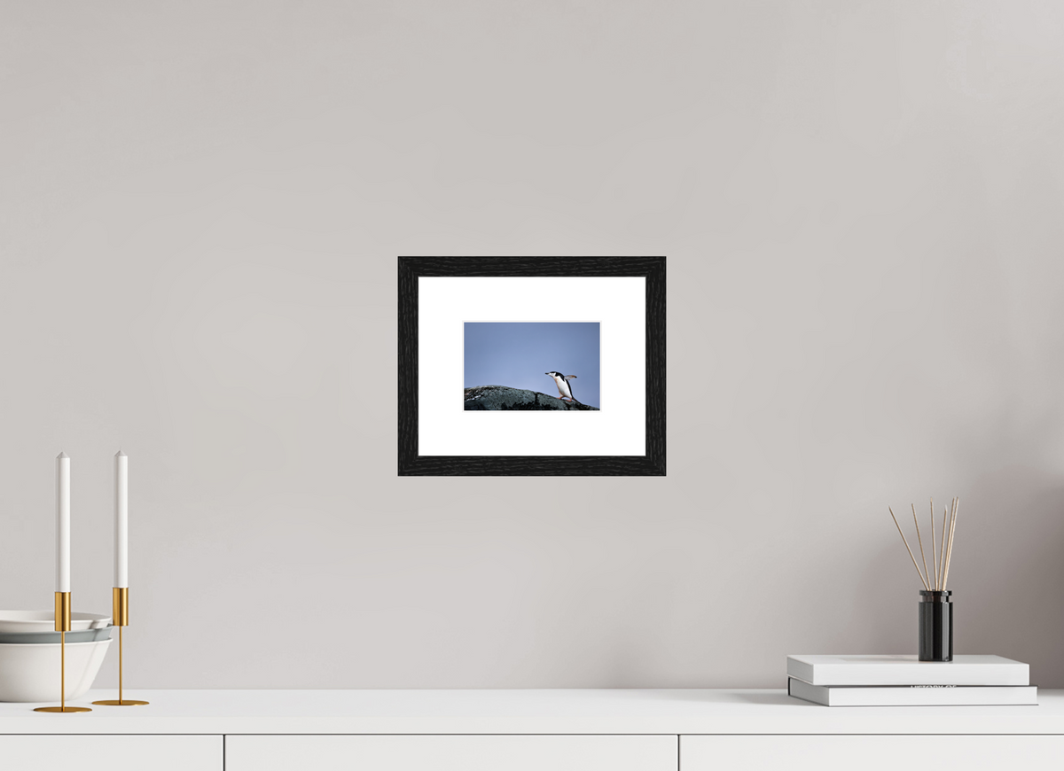 6 x 4″, Glossy Print (Framed) A7