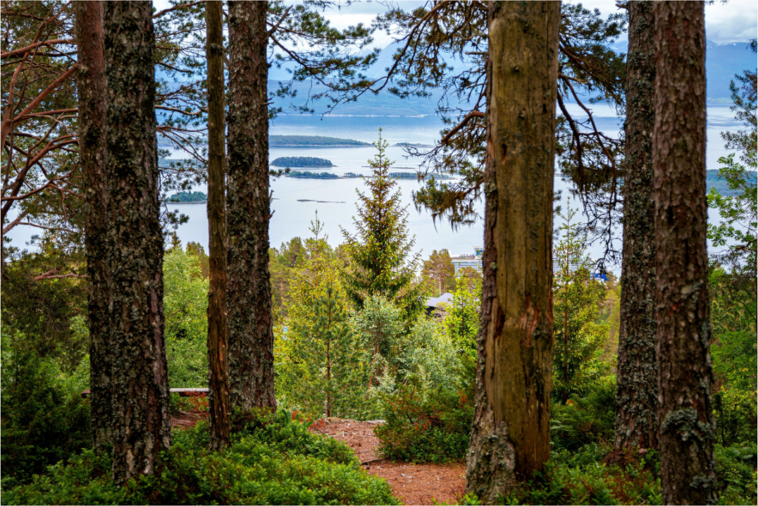 Main image Norway5