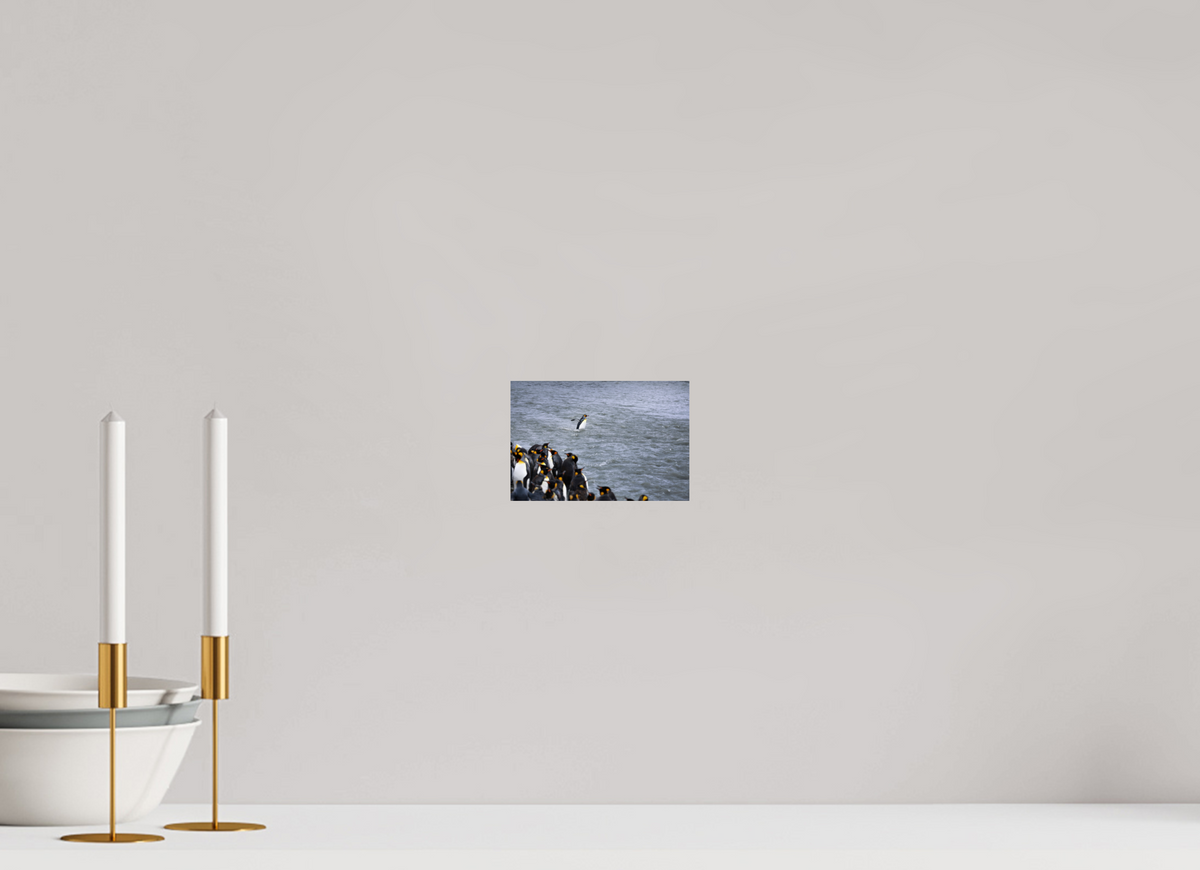 6 x 4″, Glossy Print (Unframed) A15