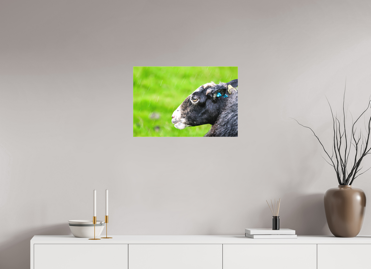24 x 16″, Canvas Print Norway14