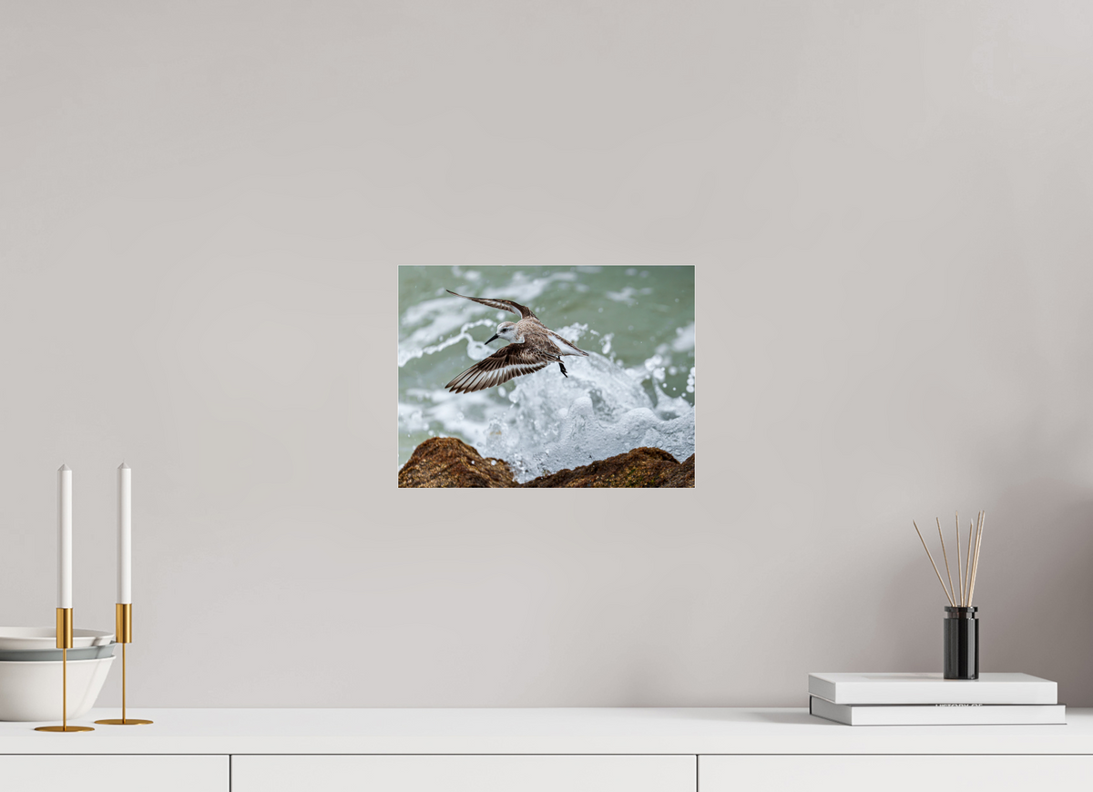 12 x 9″, Acrylic under Glass (Unframed) A Sanderling and the Ocean