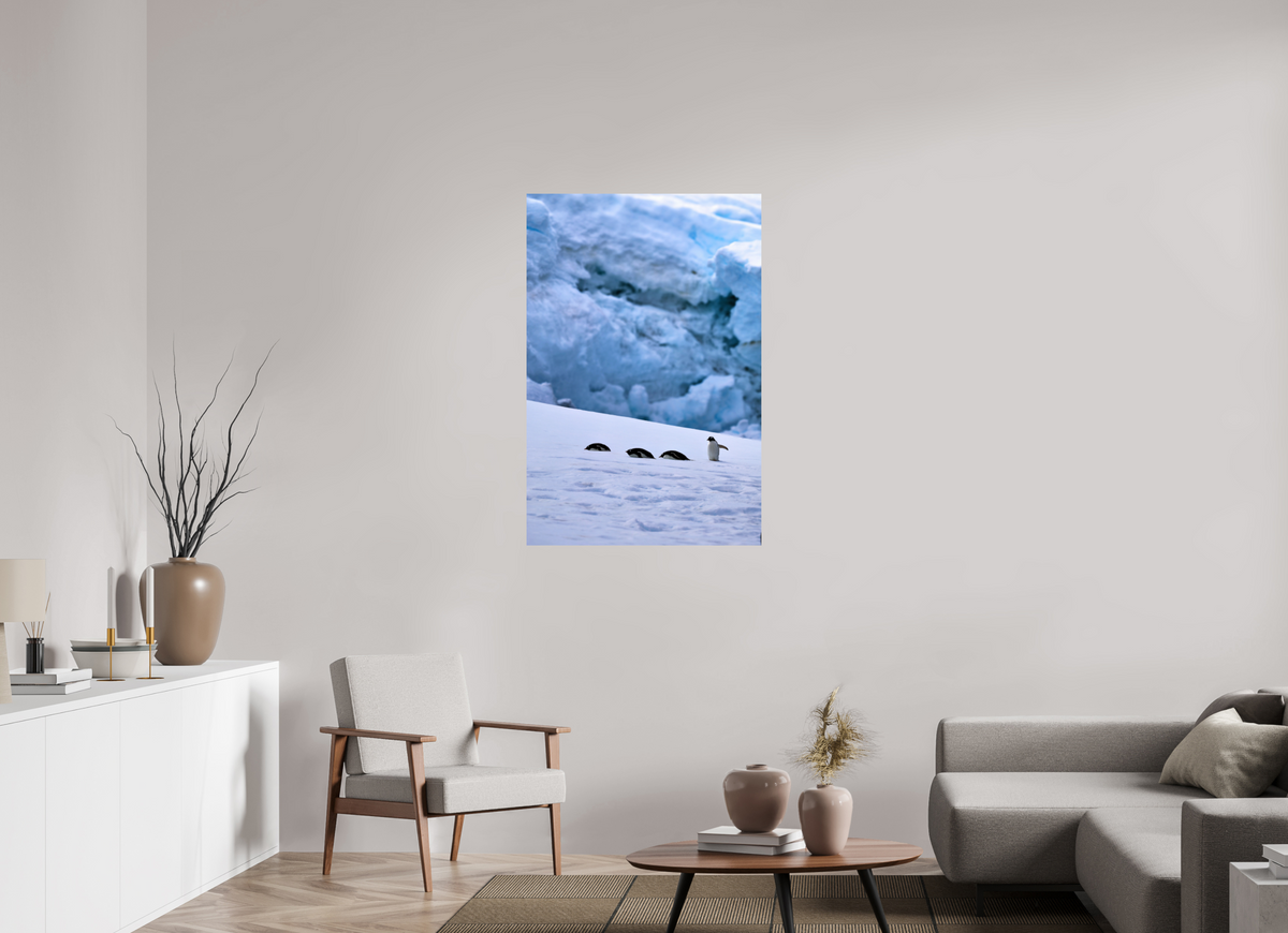 30 x 45″, Glossy Print (Unframed) A4