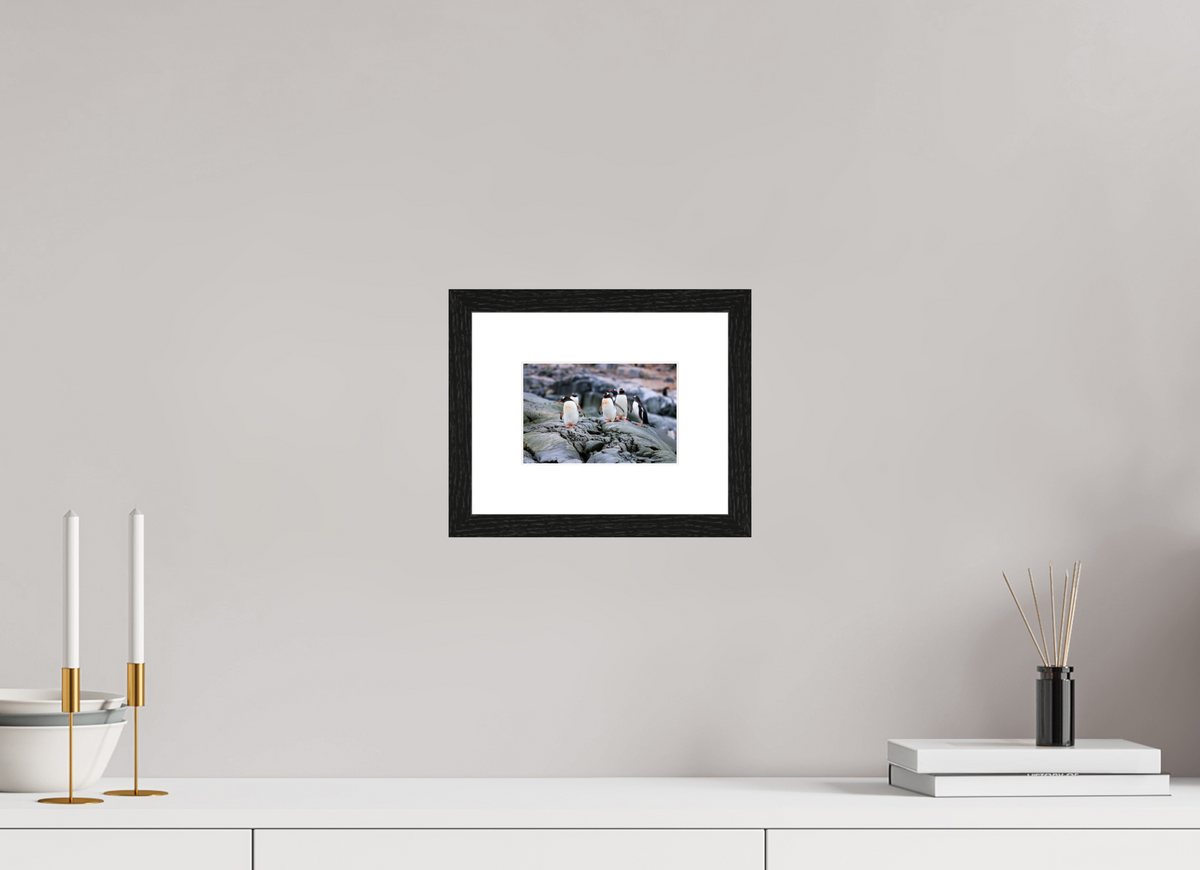 6 x 4″, Glossy Print (Framed) A1
