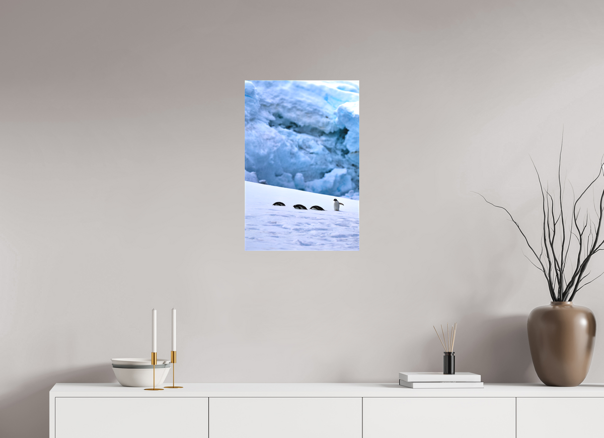 16 x 24″, Canvas Print A4