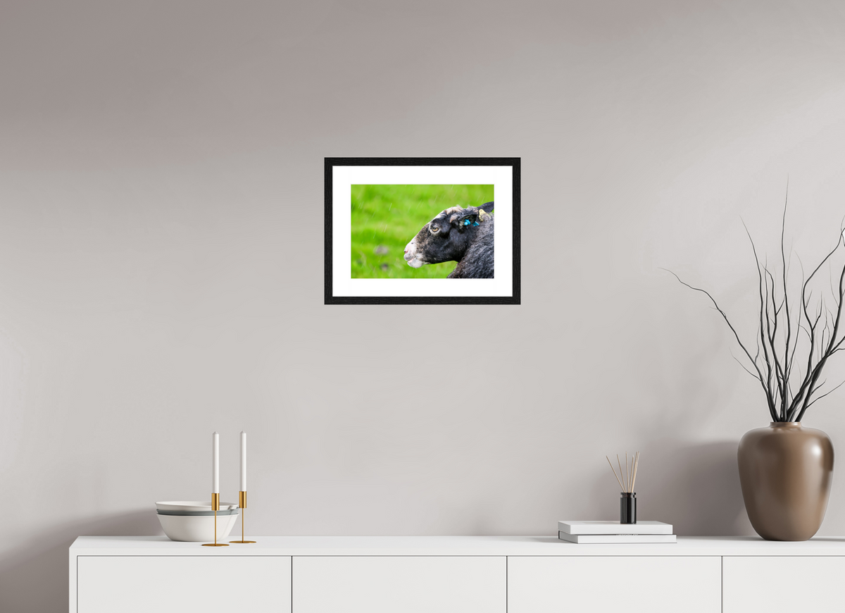 15 x 10″, Glossy Print (Framed) Norway14