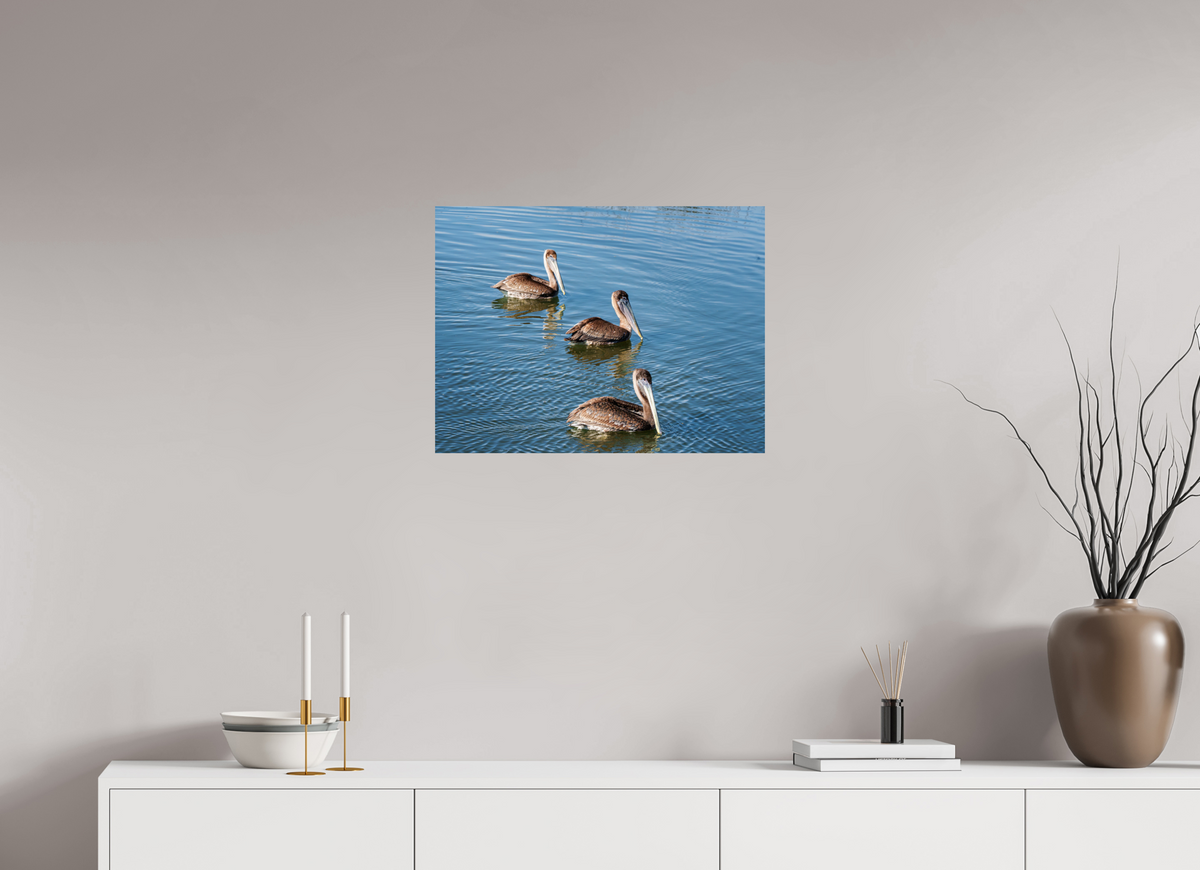 24 x 18″, Glossy Print (Unframed) Triple Brown Pelican