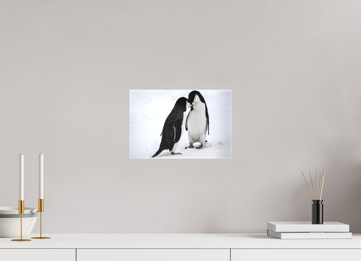 12 x 8″, Canvas Print A5
