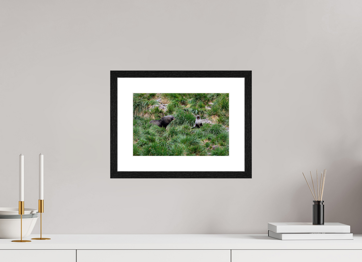 12 x 8″, Glossy Print (Framed) A23