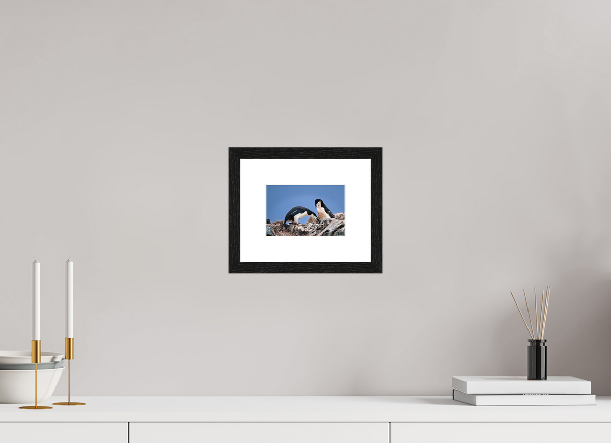 6 x 4″, Glossy Print (Framed) A6