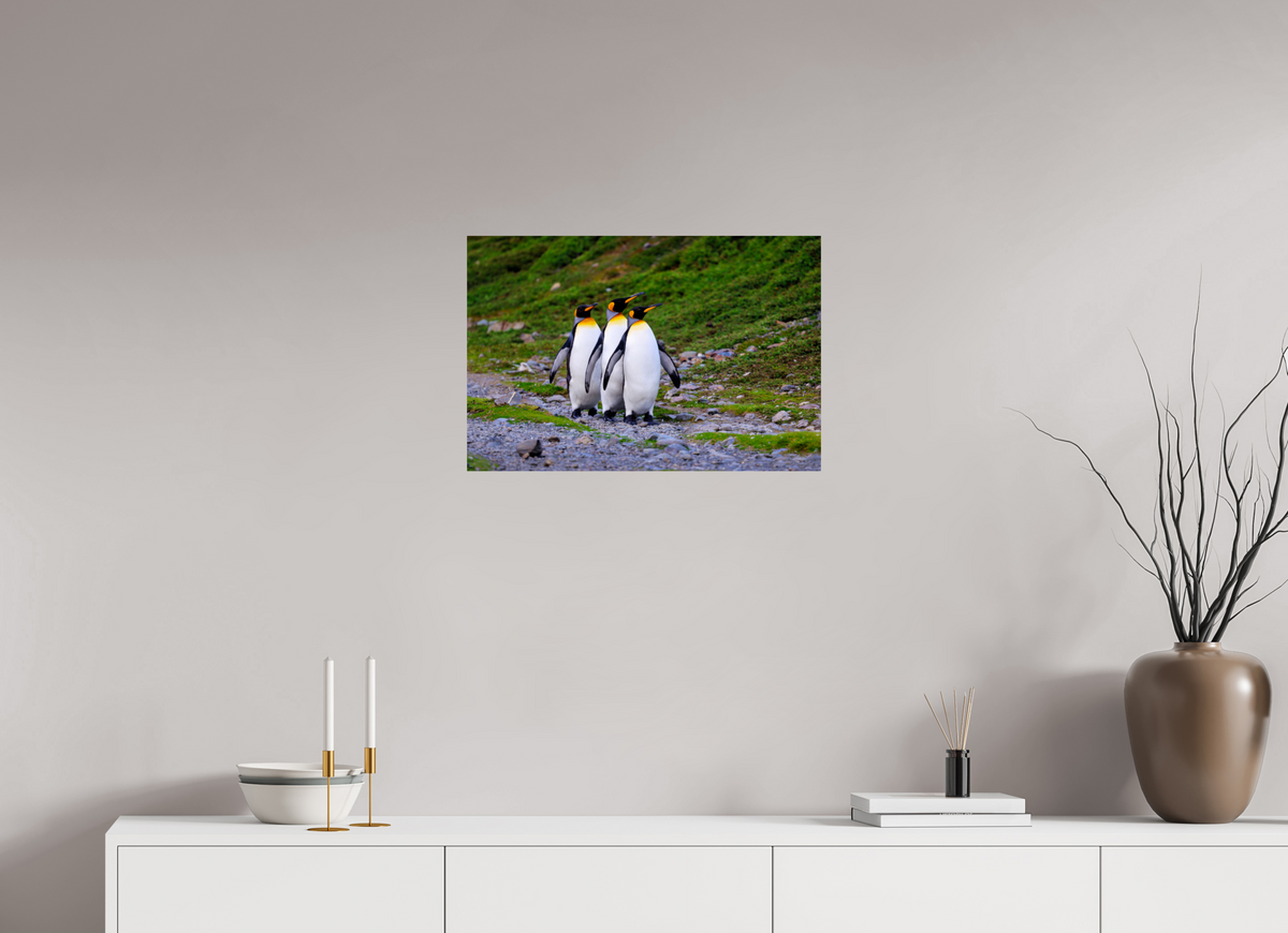 24 x 16″, Glossy Print (Unframed) A18