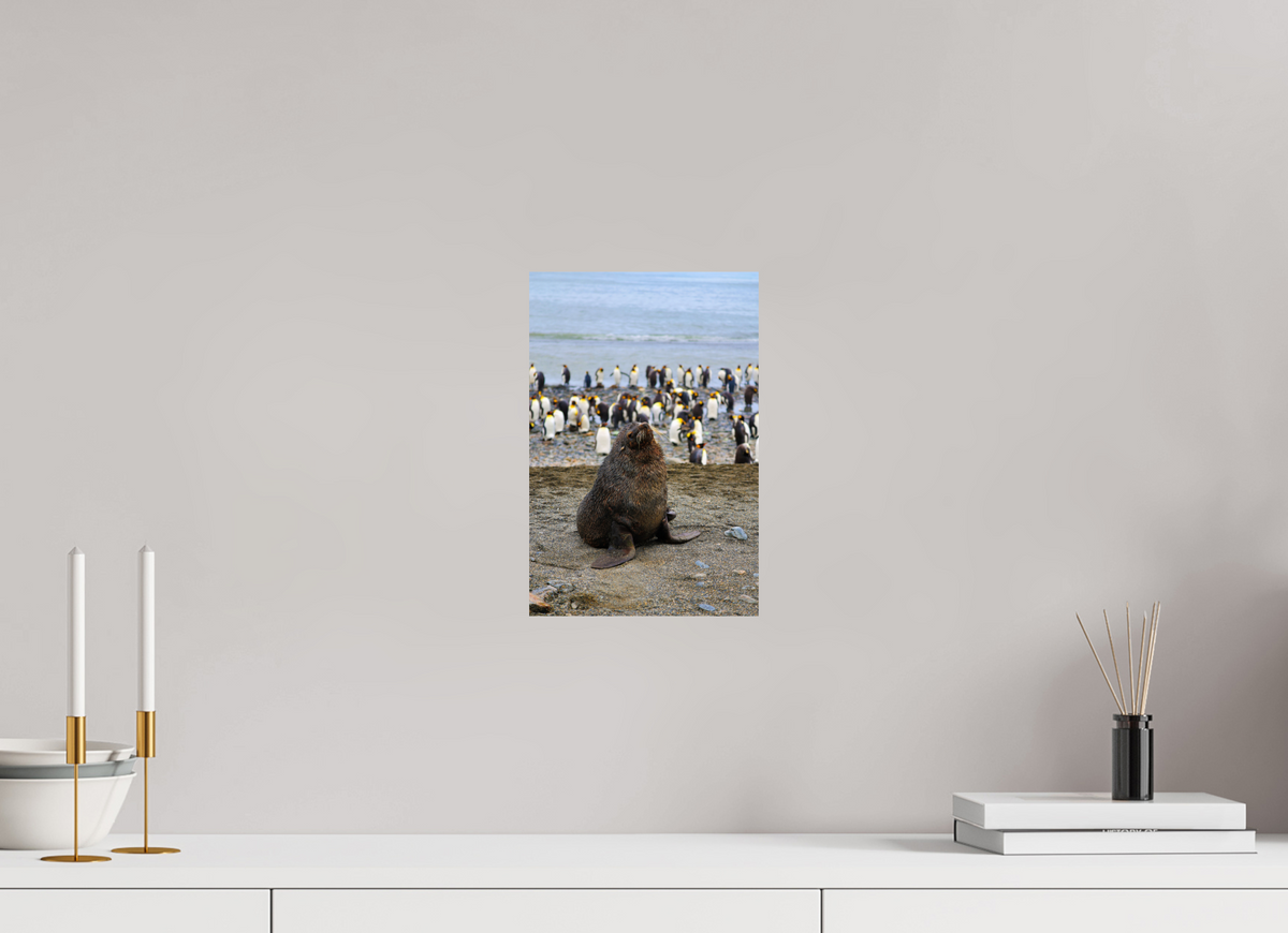 8 x 12″, Glossy Print (Unframed) A11