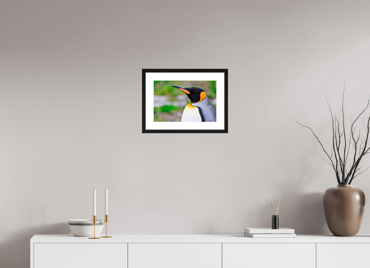 15 x 10″, Glossy Print (Framed) A12